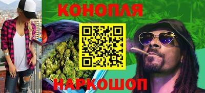 сатива Кинель