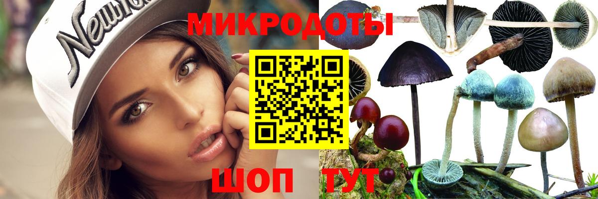 Раменское  Псилоцибиновые грибы Cubensis  наркота  Вход с VPN 